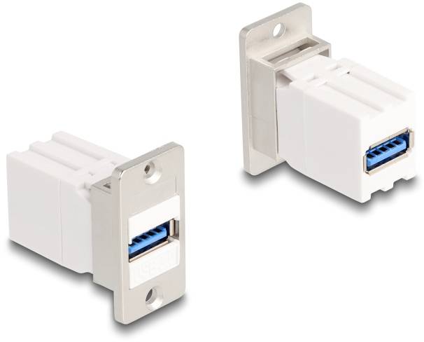Delock 67165 Modulo USB da incasso Keystone Cavi 1 pz.-0