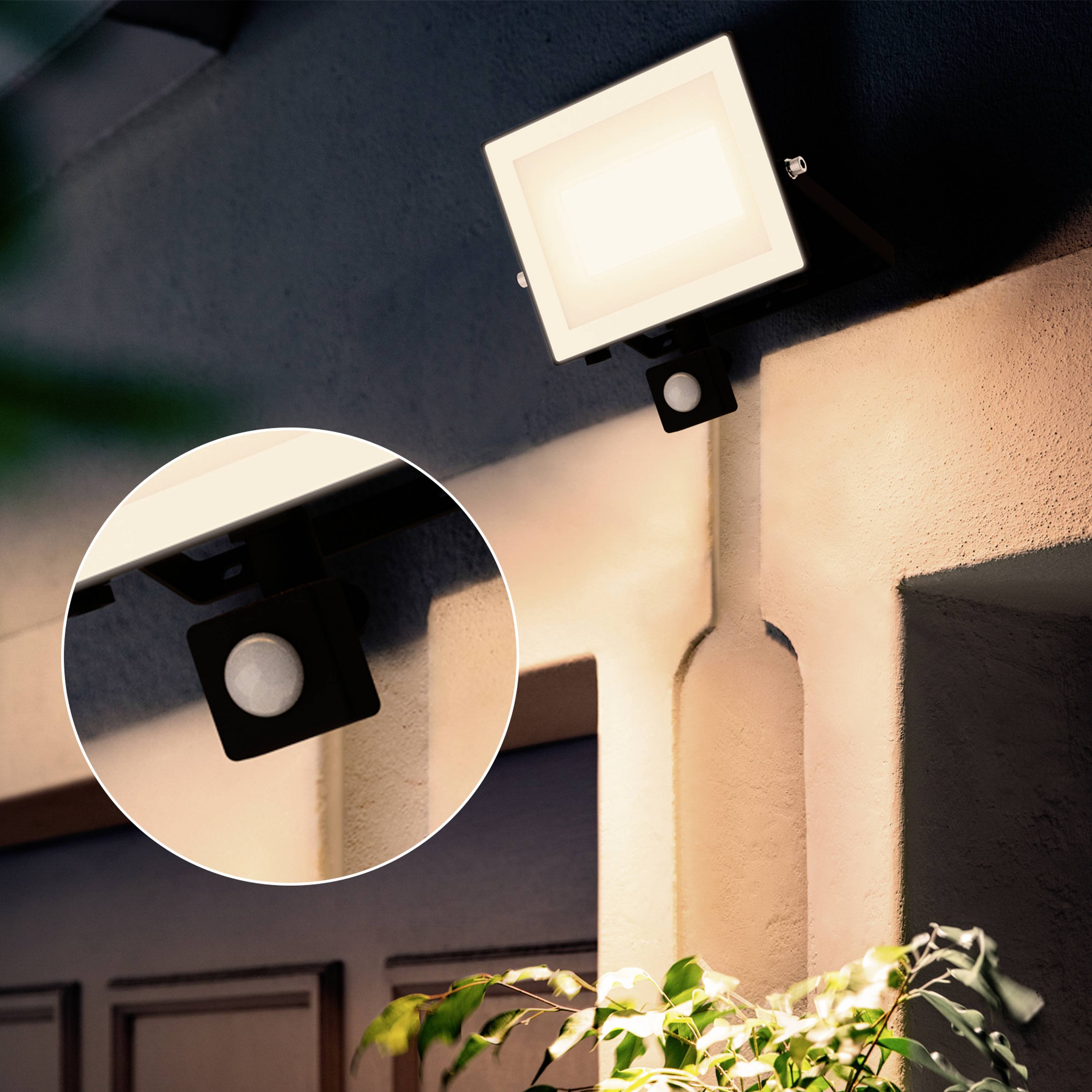 Illuminazione esterna su una parete di casa, mostra un proiettore moderno che illumina una porta e le piante sottostanti, in modo tranquillo e notturno.