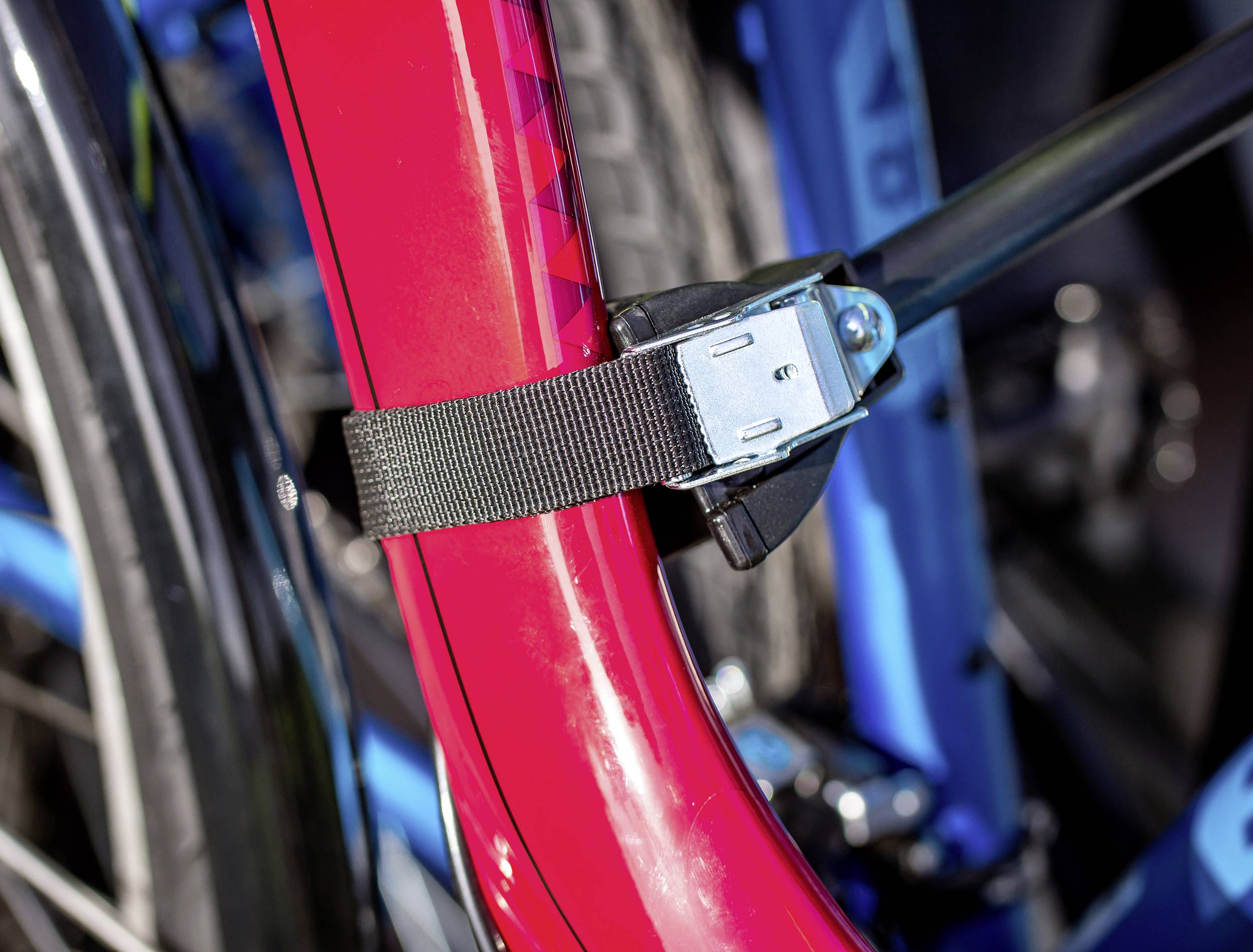 Una bicicletta rossa e una blu sono assicurate con una cinghia nera. Il focus è sul fissaggio della cinghia al telaio.