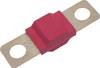 TRU COMPONENTS TC-13545880 Fusibile 50 A 80 V/DC Contenuto 10 pz. Bulk