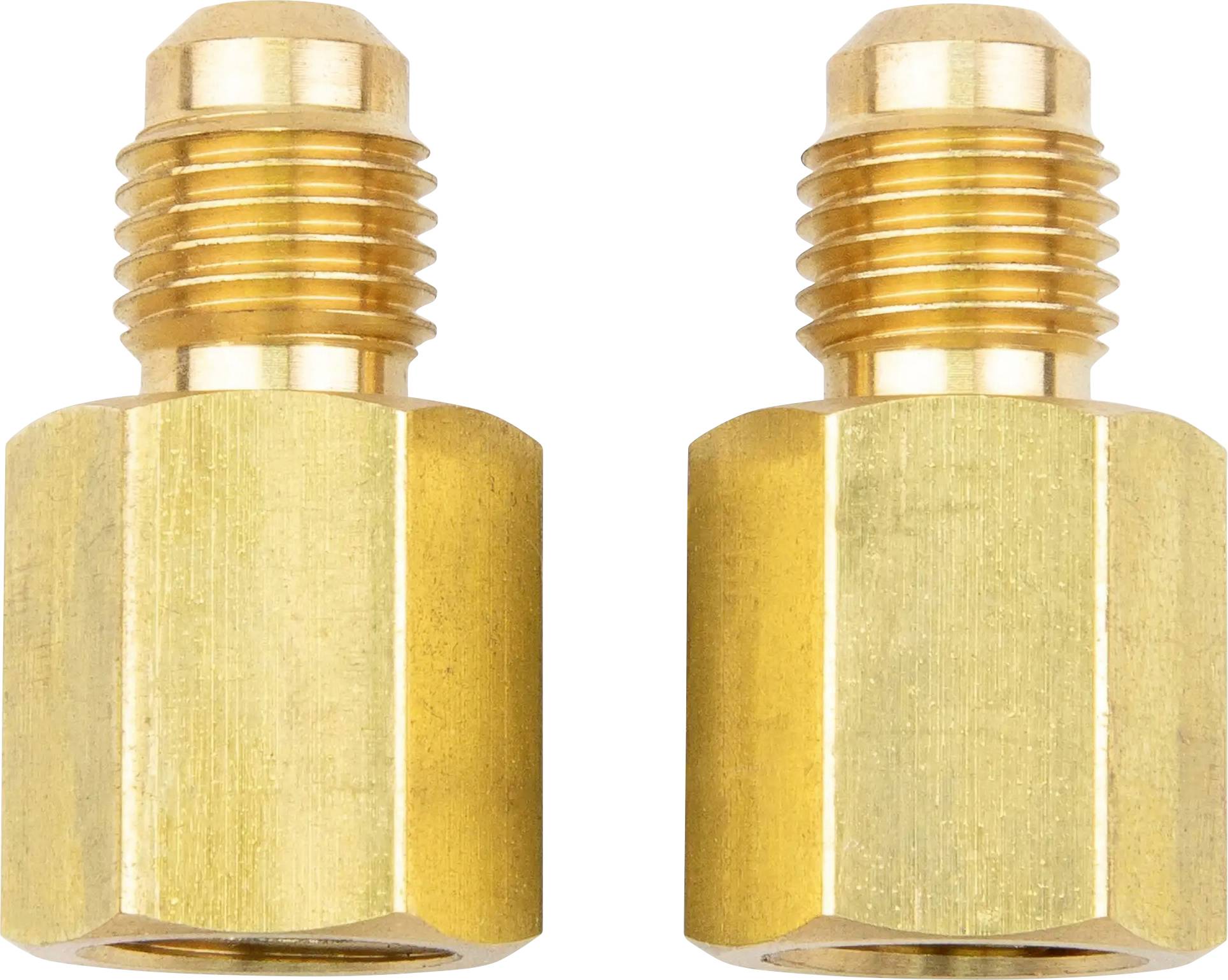 Due adattatori a vite color ottone con corpo esagonale, disposti uno accanto all'altro.