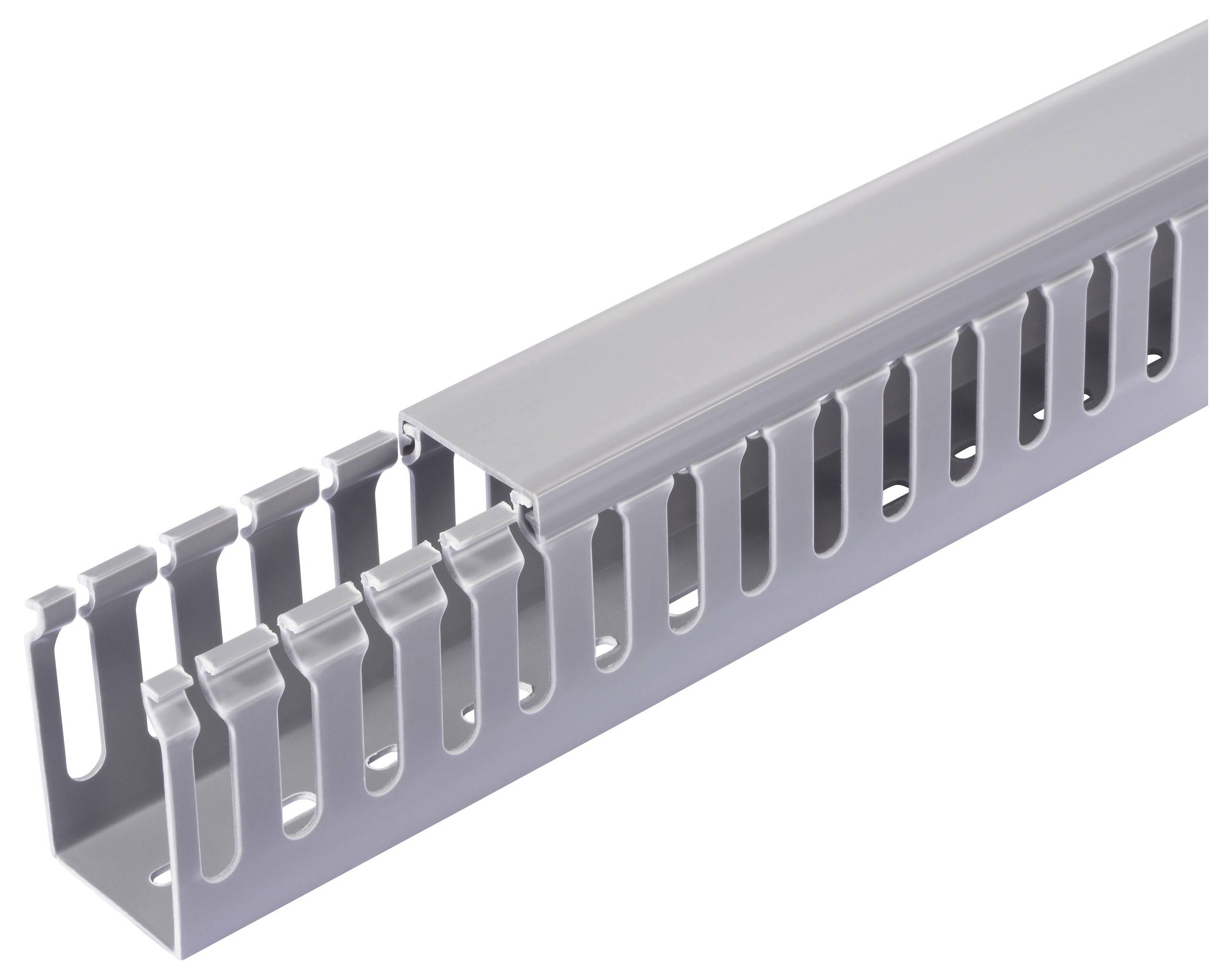 Sygonix SY-6801160 Canale porta cavi (L x L x A) 2000 x 25 x 40 mm 5 pz. Grigio-1