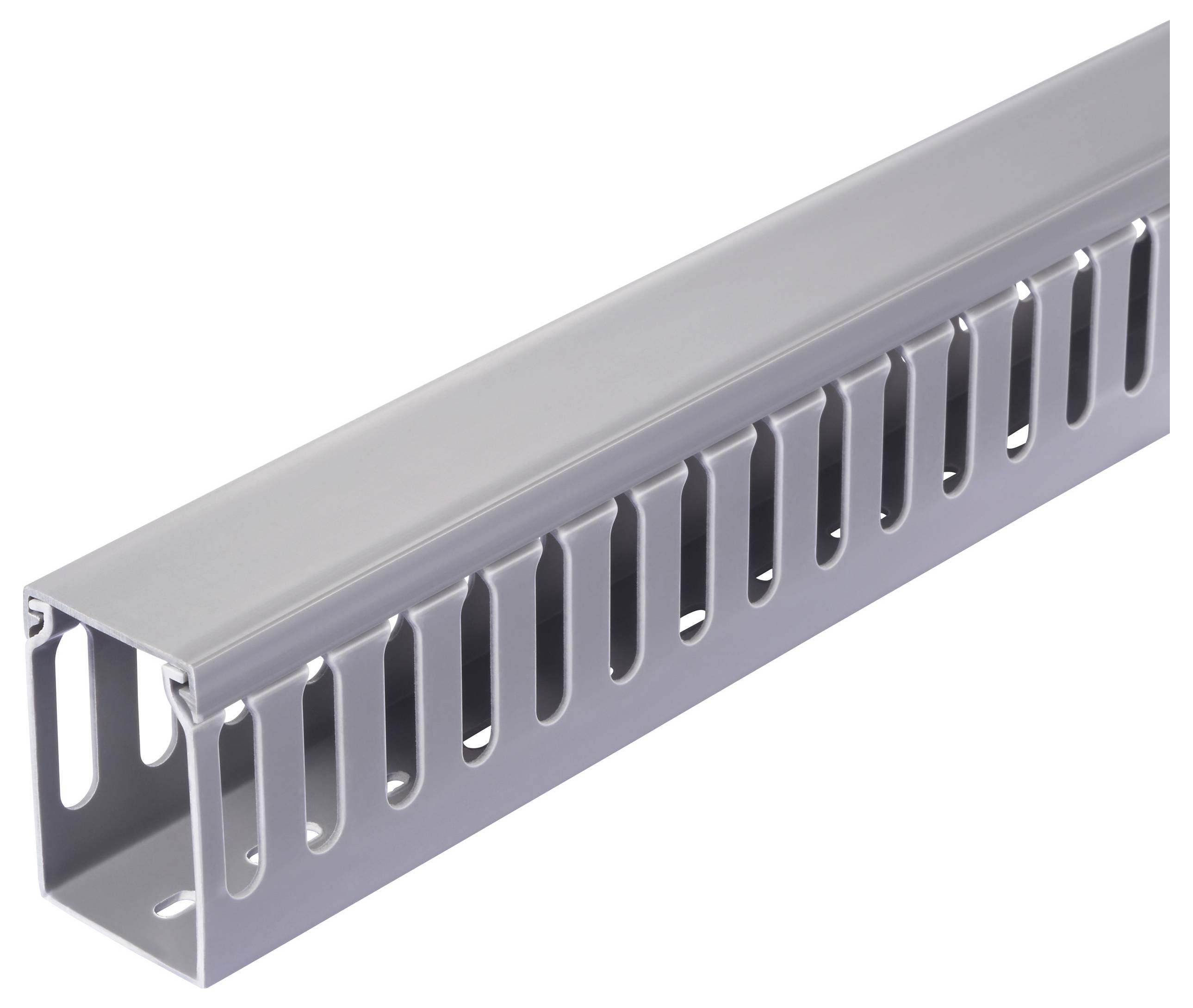 Sygonix SY-6801160 Canale porta cavi (L x L x A) 2000 x 25 x 40 mm 5 pz. Grigio-2