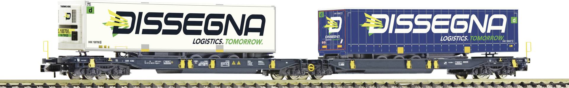 Due vagoni ferroviari trasportano container con la scritta 'DISSEGNA'. Uno dei container è bianco, l'altro blu.