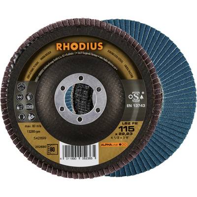 Due dischi abrasivi, una vista frontale con il nome del marchio 'RHODIUS' e specifiche, un retro con setole abrasive blu.