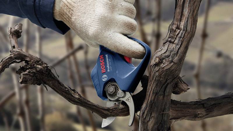 Una mano con guanti taglia un tralcio con un tagliapruning blu Bosch. Sullo sfondo, vigneti sfocati sono visibili.