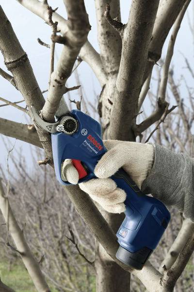 Una persona sta tagliando un ramo con un forbicione elettrico blu su un albero. Indossa guanti da lavoro bianchi.