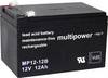 multipower MP12-12B MP12-12B Batteria al piombo 12 V 12 Ah Piombo-AGM (L x A x P) 98 x 98 x 151 mm Contatto polo Esente da manutenzione, Bassa autoscarica, certificazione VDS
