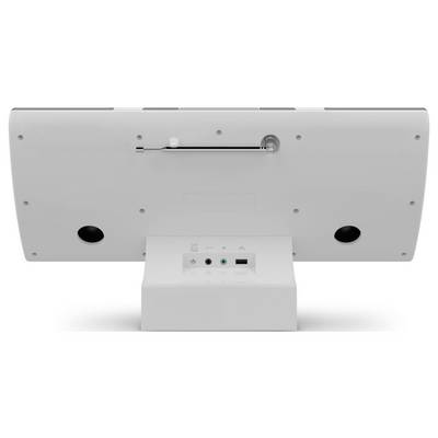 Retro di un monitor bianco con due altoparlanti, un supporto e possibilità di connessione.