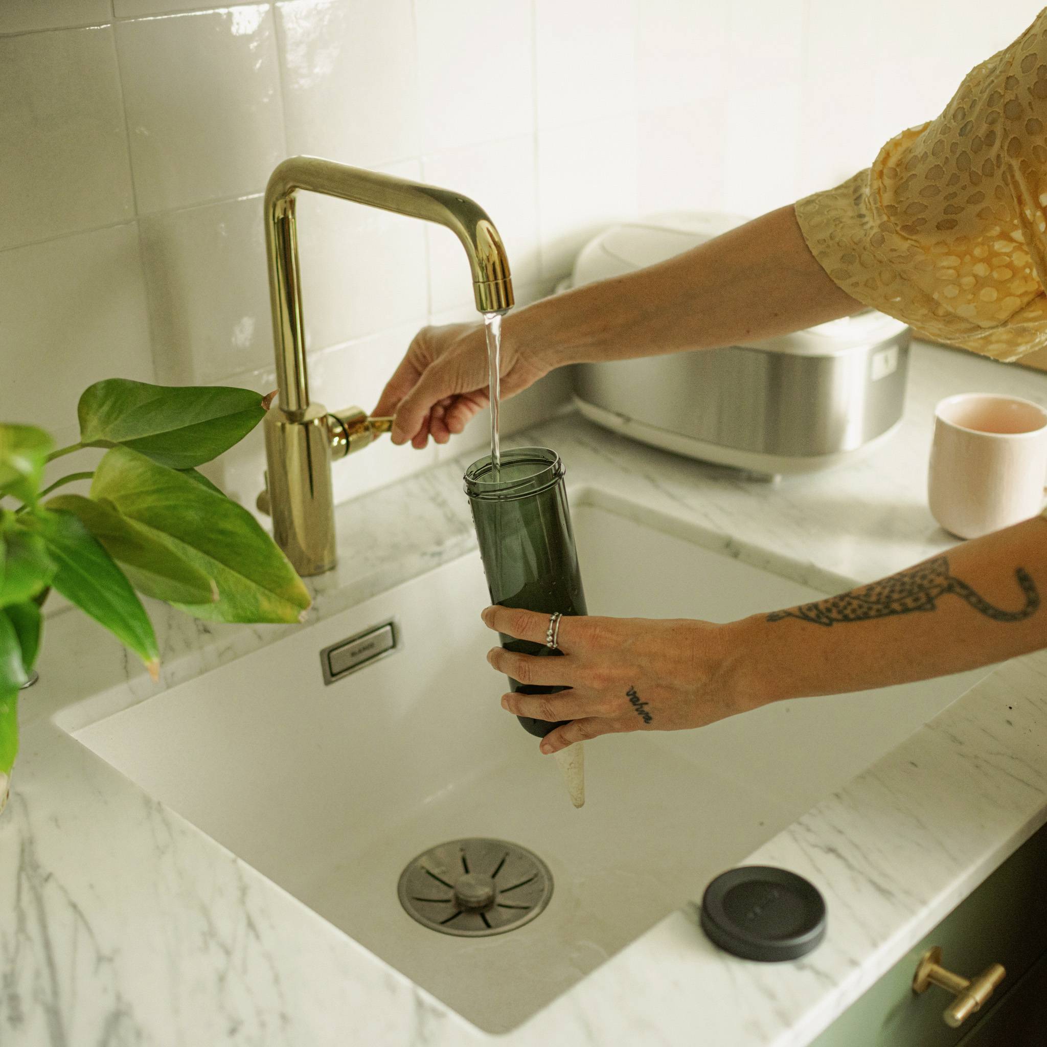 Una persona sta riempiendo un recipiente con acqua in un lavandino della cucina. A sinistra è visibile una pianta in vaso, a destra una tazza.