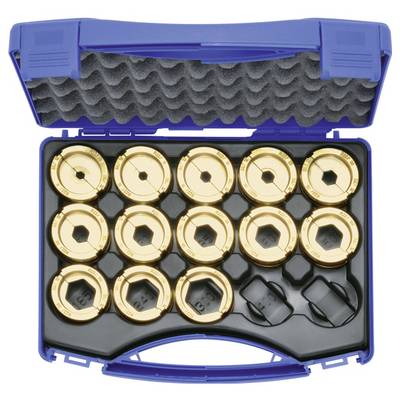 Un astuccio blu con una fodera in schiuma contiene un set di 16 matrici metalliche dorate circolari disposte in file.