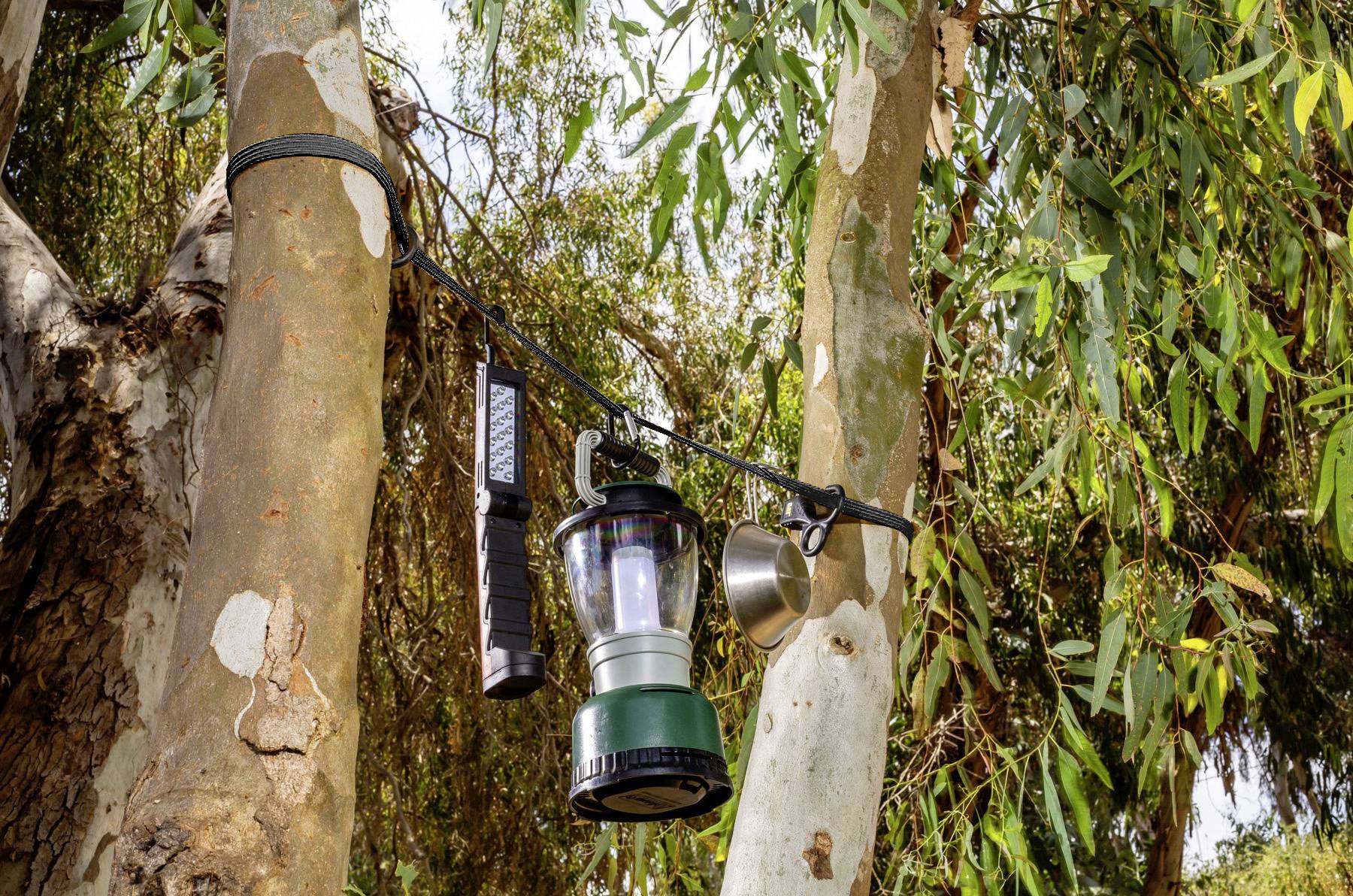 Una lanterna da campeggio, una torcia elettrica e una tazza metallica sono appese a un ramo di un albero in un ambiente boschivo, suggerendo un accampamento rustico all'aperto.