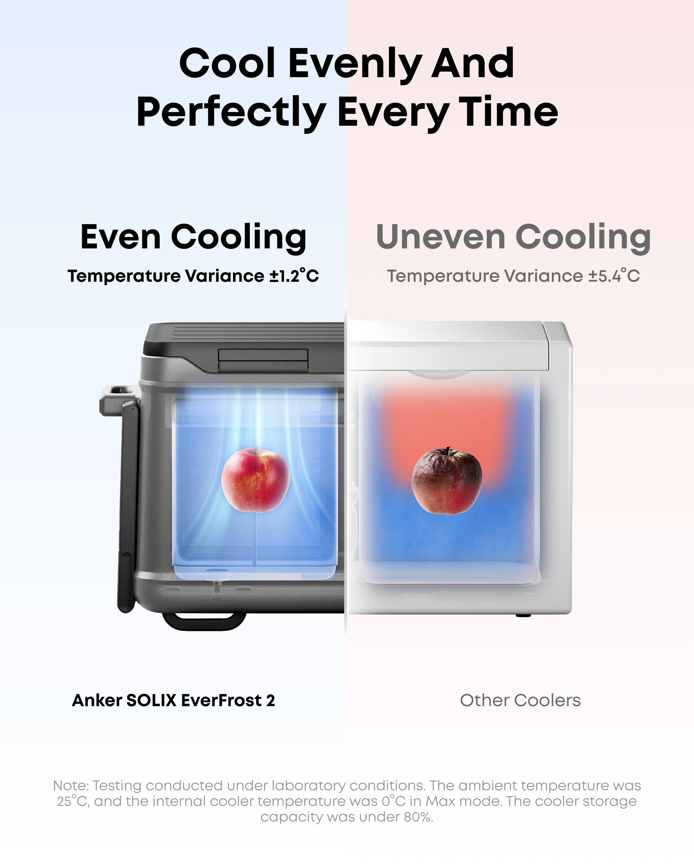 Anker SOLIX EverFrost 2 Frigo portatile a batteria ERP: C (A - G) Nero 58 l Da -20°C a 20 °C-29