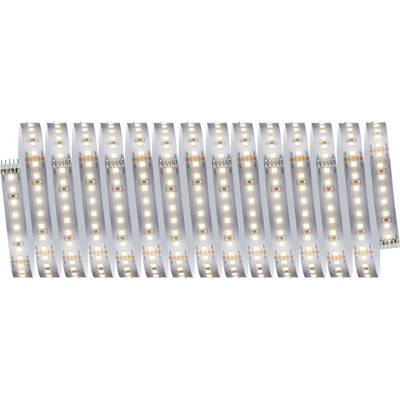 Paulmann MaxLED 1000 71241 Kit base striscia LED 230 V 5 m Bianco caldo 1 KIT-0