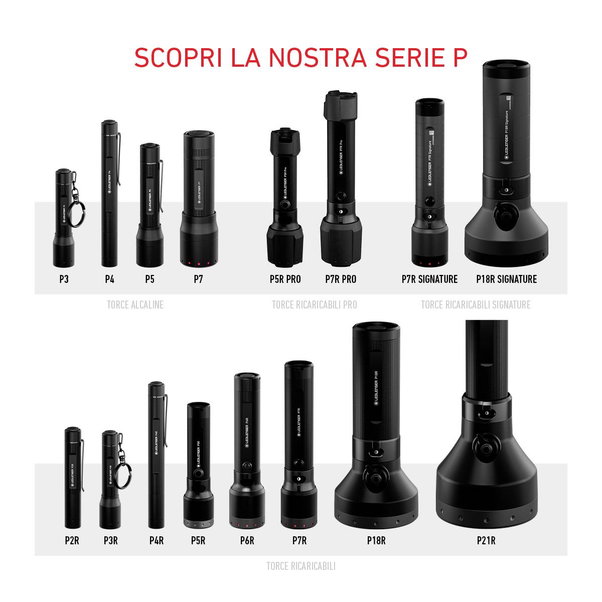 'Torce elettriche della serie P in diverse dimensioni e modelli, tra cui P3, P5R e P18R. Ognuna ha funzioni diverse.'