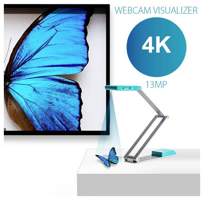 'Visualizzatore webcam con risoluzione 4K 13MP; mostra un'immagine ingrandita di una farfalla blu sullo schermo mentre cattura la farfalla reale sottostante.'