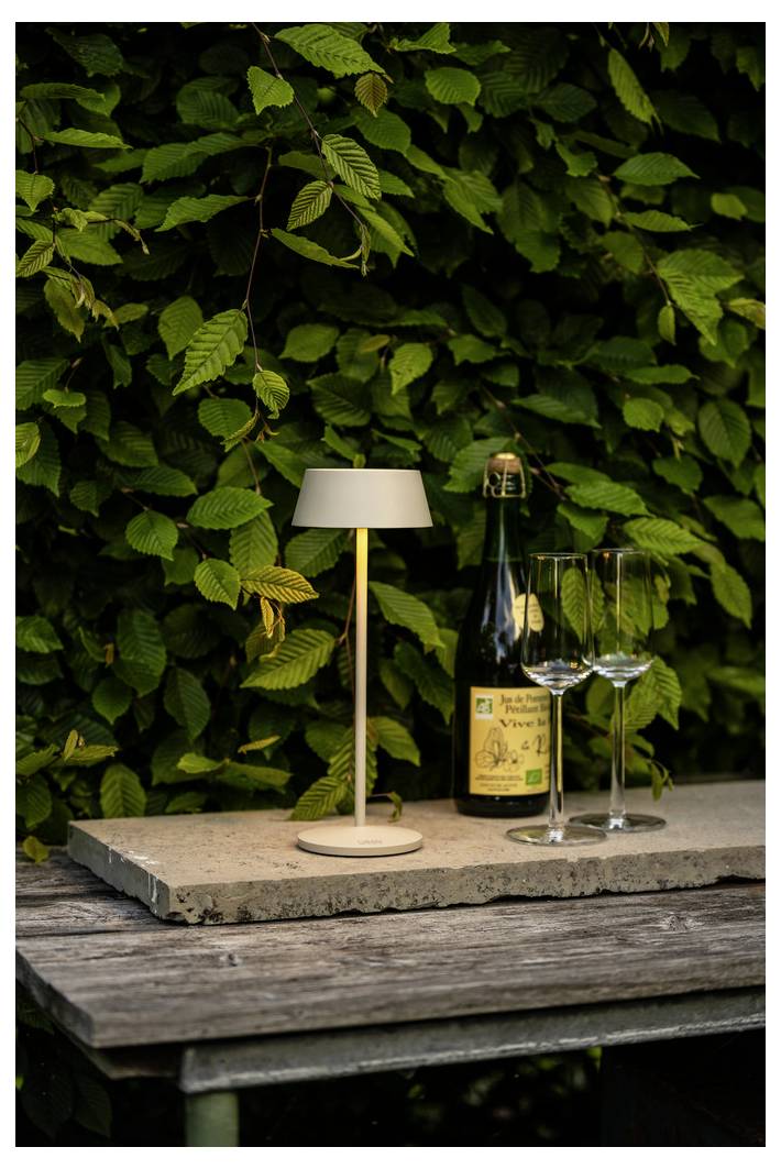 Una piccola lampada e due bicchieri di vino su un tavolo di legno accanto a una bottiglia di vino, con rigogliose foglie verdi sullo sfondo.