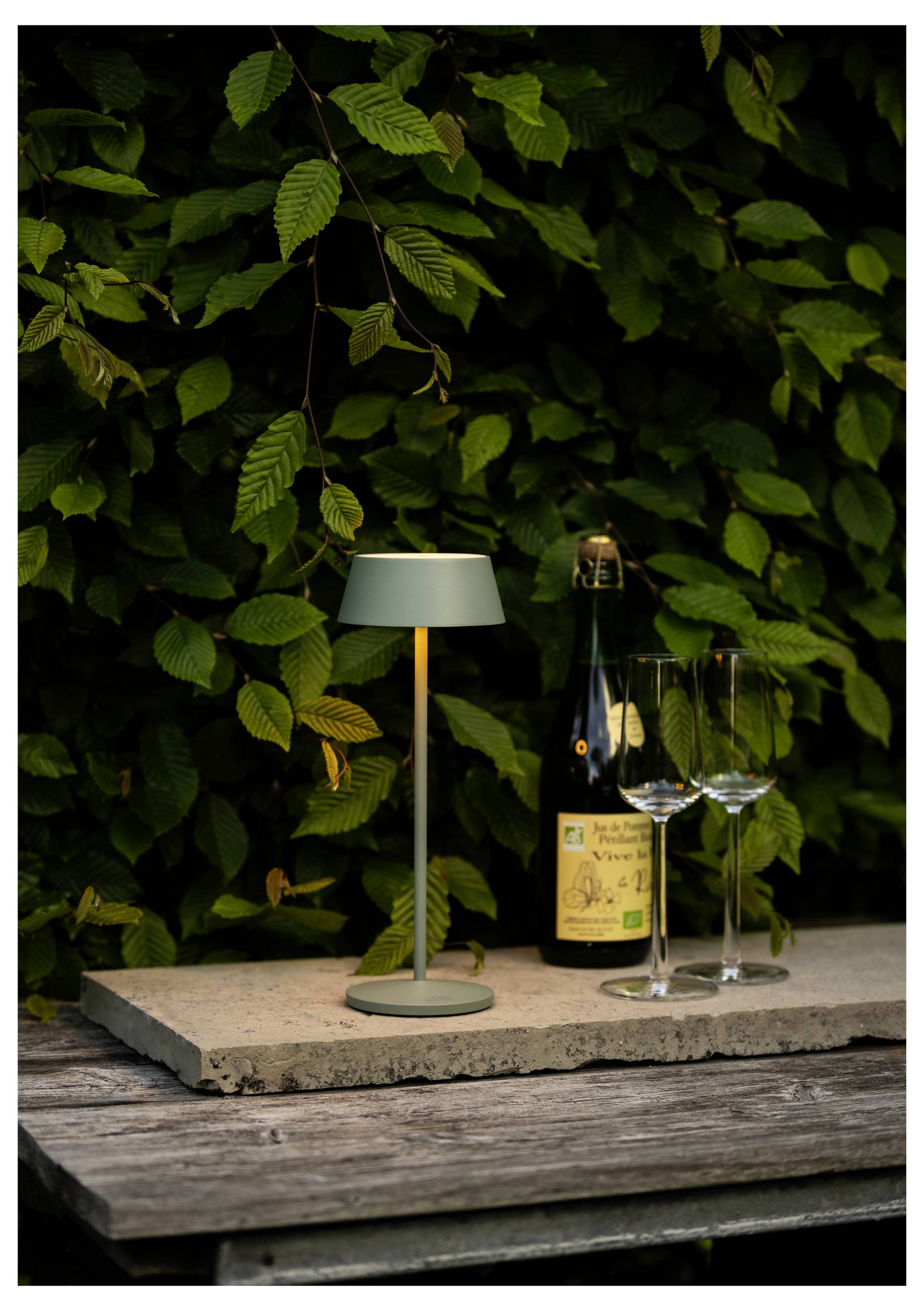 Una bottiglia di vino con due bicchieri e una lampada su un tavolo di legno, posizionata davanti a una lussureggiante vegetazione verde.