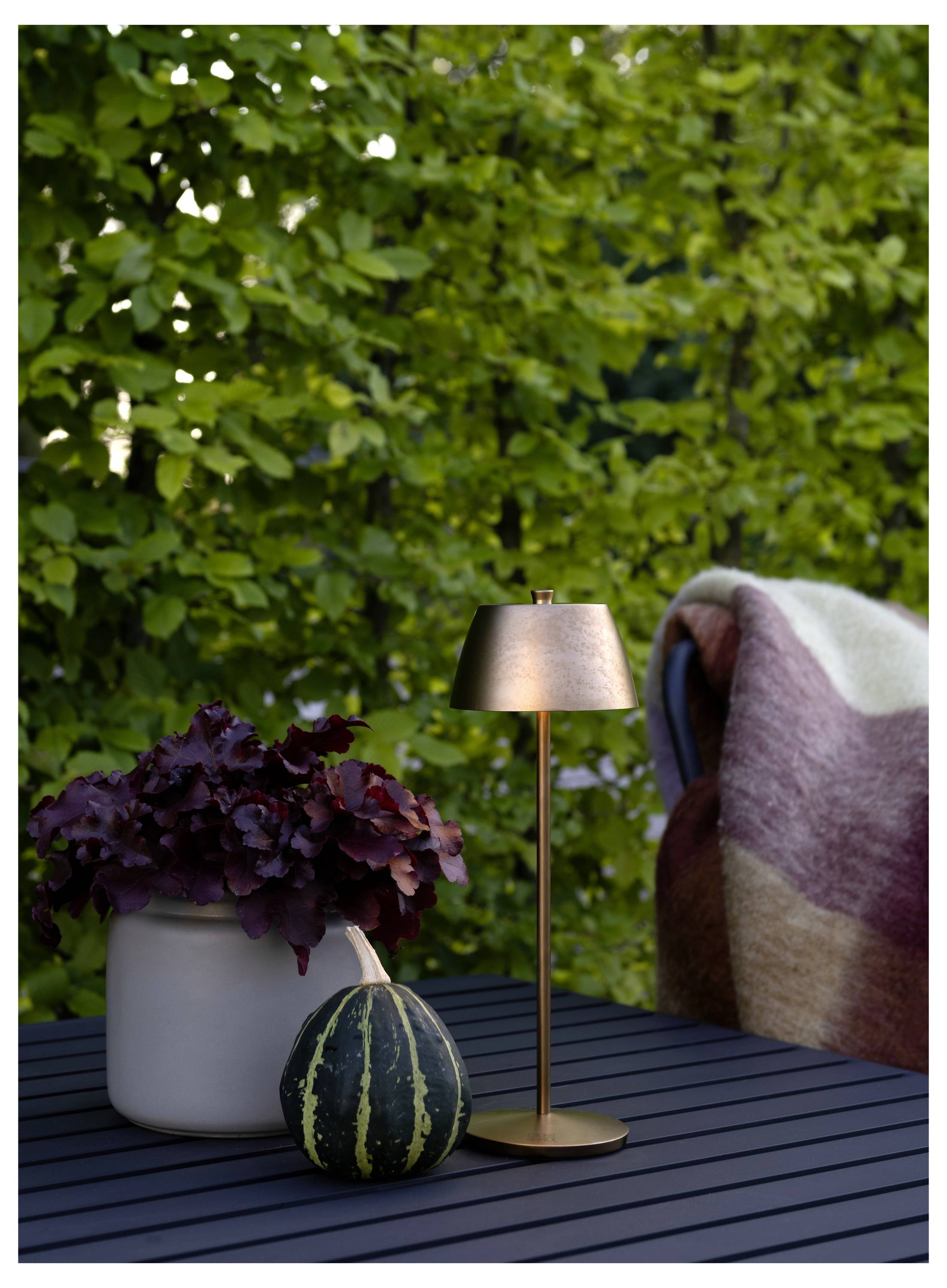 'Una piccola lampada di rame, un vaso di foglie viola, una tovaglia a righe, e una zucca su un tavolo nero in un giardino esterno.'