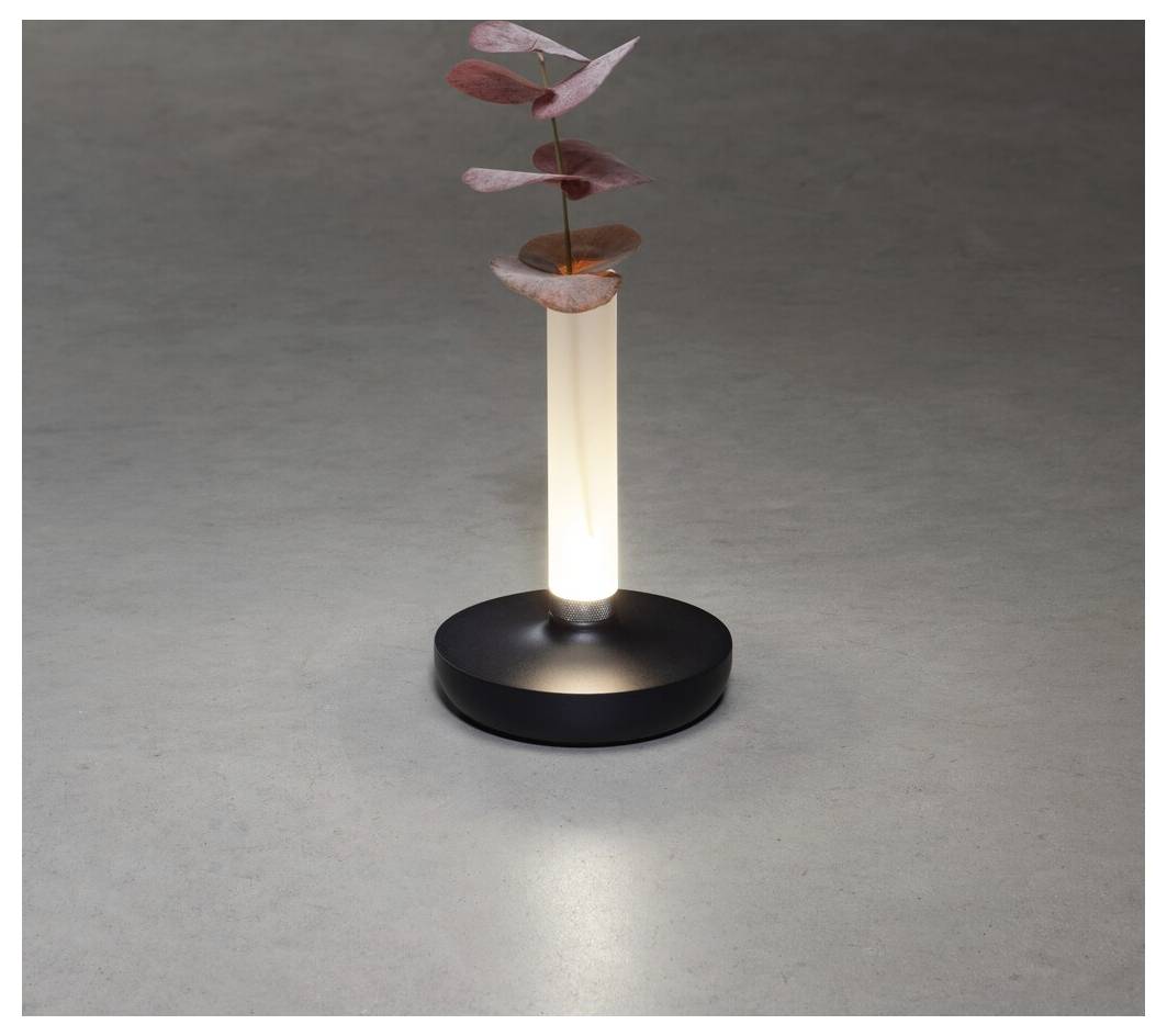Una lampada moderna con una base cilindrica, sormontata da un vaso sottile che regge un ramoscello con foglie rosa, poggiata su una superficie liscia.