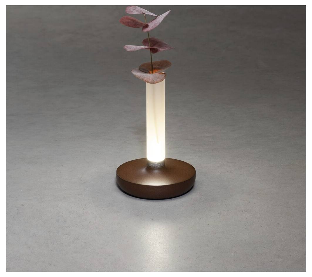 Una lampada minimalista con una base cilindrica luminosa sorregge un singolo stelo con foglie rosa. La lampada è posizionata su una superficie grigia liscia.