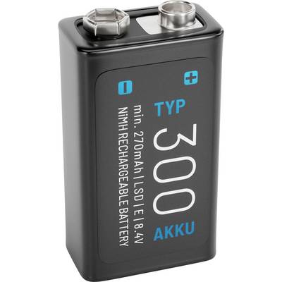 Una batteria ricaricabile rettangolare etichettata 'TYP 300 AKKU', con marcature per i terminali positivi e negativi.