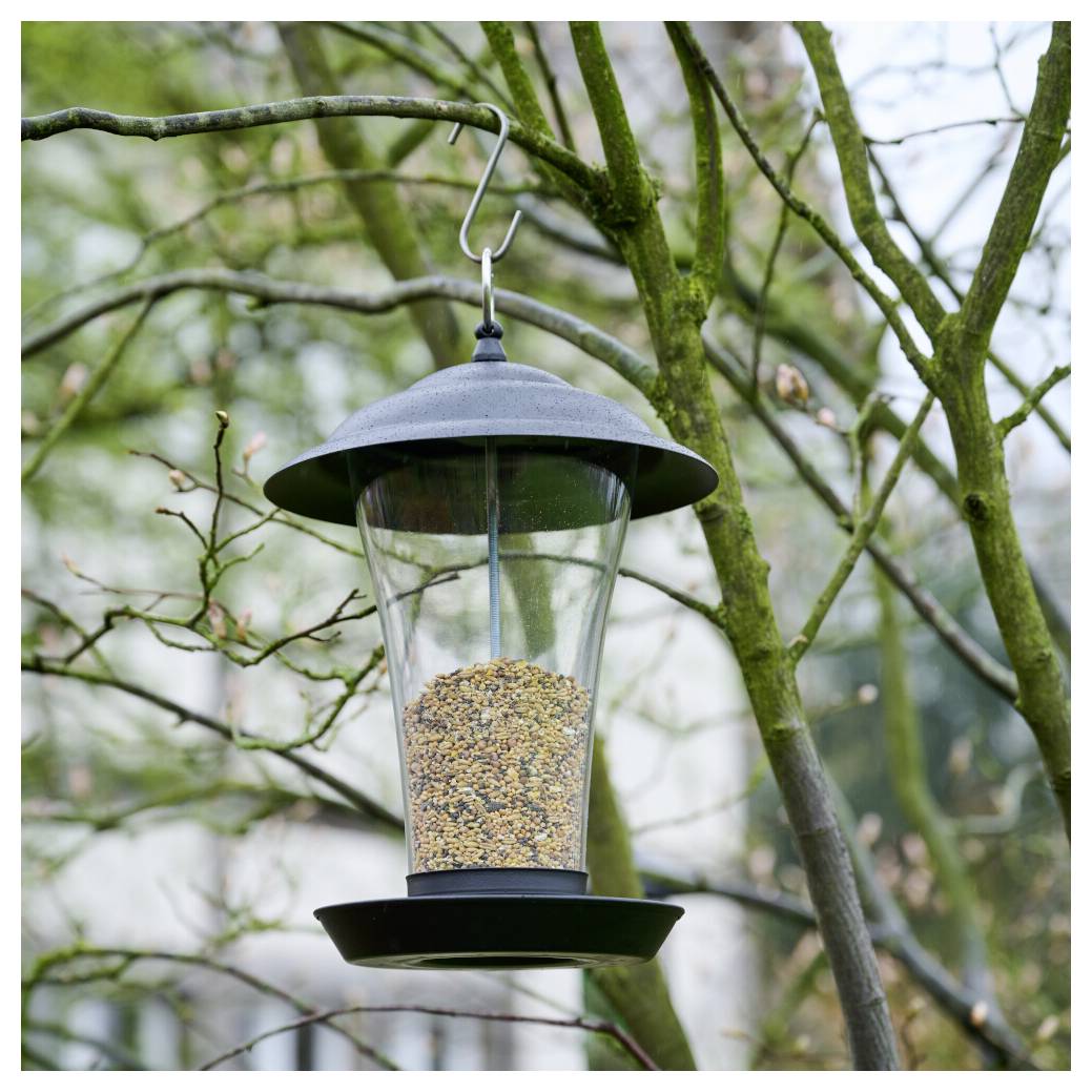 Un'alimentatore per uccelli pieno di semi pende da un ramo d'albero, pronto ad attirare gli uccelli in un giardino.