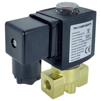 Una valvola solenoide in nero e ottone con componenti elettrici. L'etichetta sul dispositivo include specifiche tecniche e dettagli del modello.