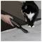 Una persona utilizza un aspirapolvere portatile su un letto, rimuovendo i peli degli animali domestici mentre un gatto bianco e nero osserva nelle vicinanze.