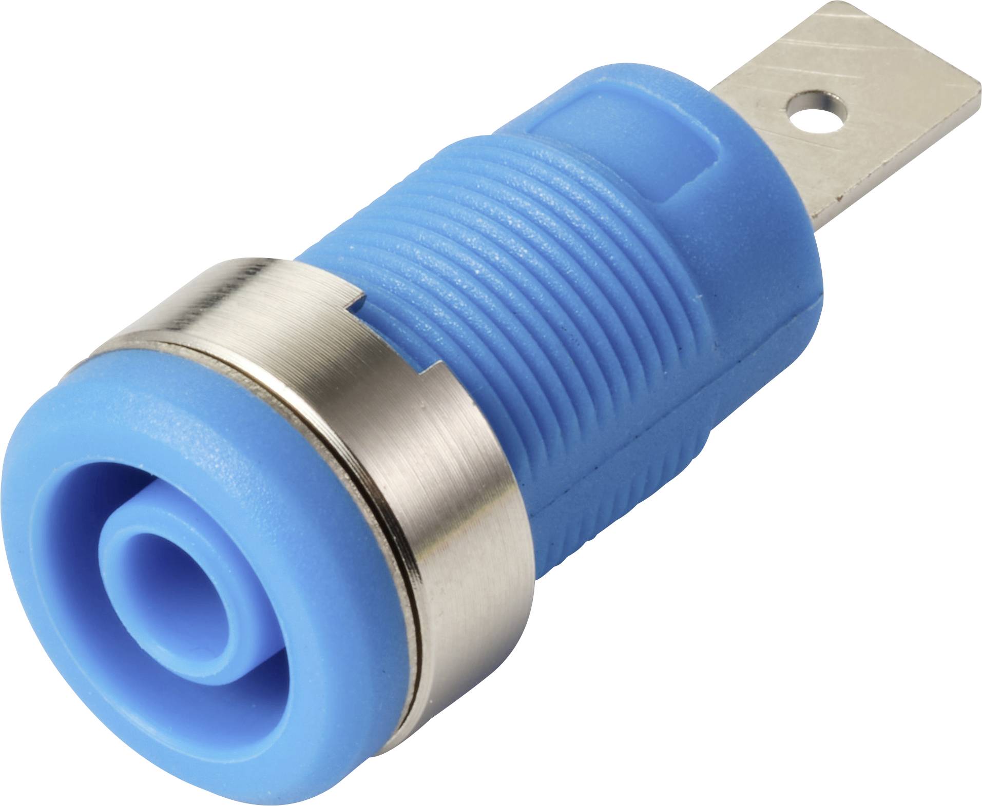 Un connettore di bloccaggio isolato blu con anello in metallo argentato, probabilmente utilizzato per il cablaggio elettrico o i circuiti, caratterizzato da un'estremità ad anello.
