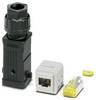 Phoenix Contact 1249554 Kit connettori Inserto maschio RJ45 Tot poli: 8 1 pz.