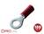 Connettore a crimpare ad anello isolato rosso con logo PROLine e icona della quantità di confezione '100 VPE/PU' su sfondo bianco.