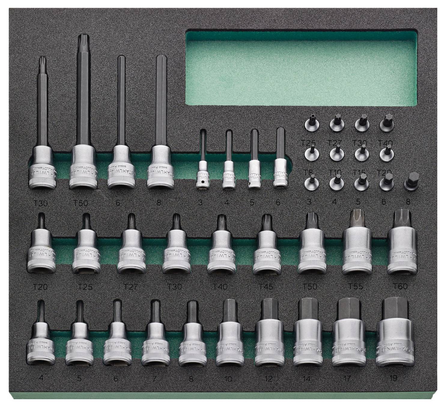 Set di attrezzi 'Torque Master' con vari bit esagonali e a stella disposti in inserto in schiuma; include taglie T20-T60, 4-19 e accessori.