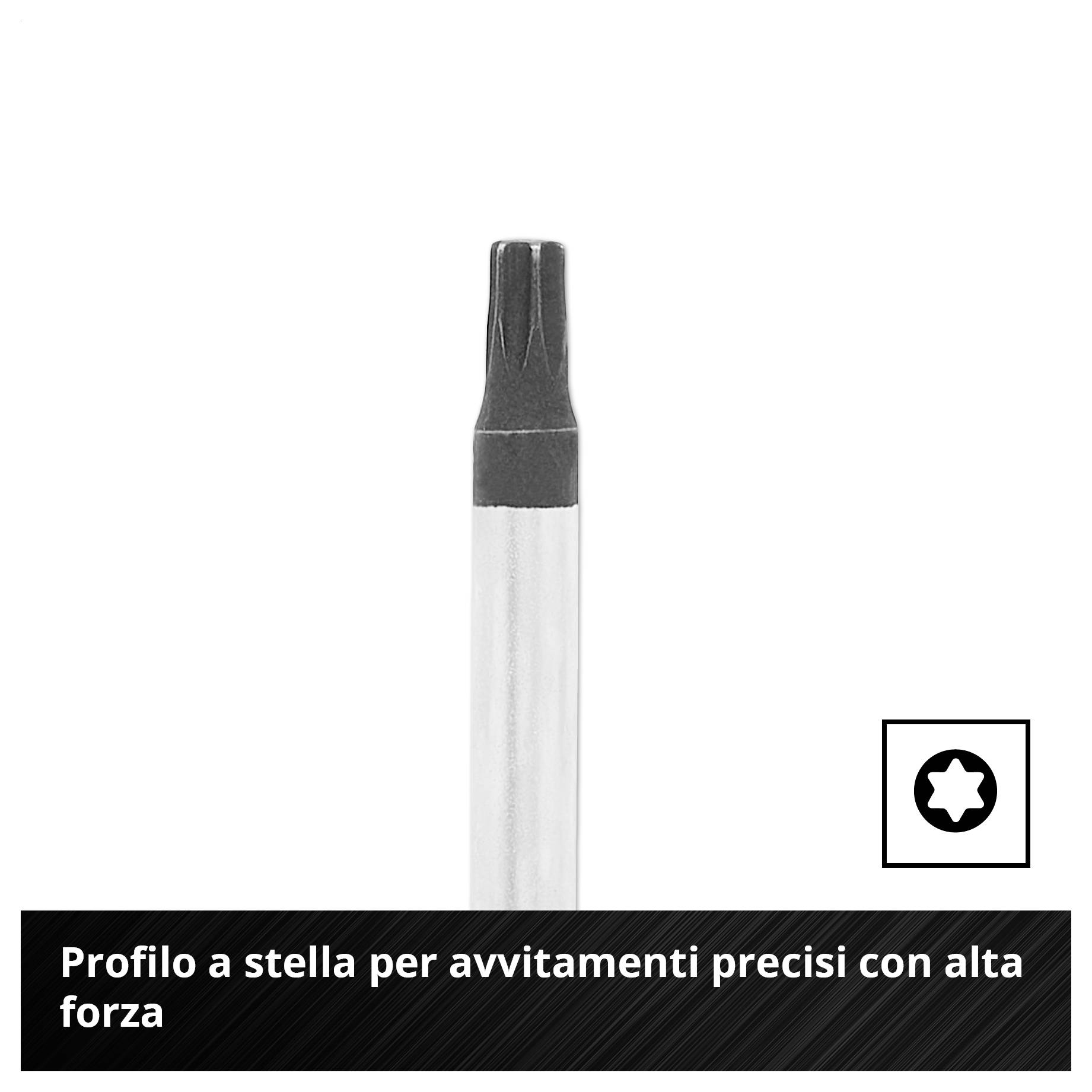 Punta con profilo a stella interna per avvitamento preciso; elevato trasferimento di forza.