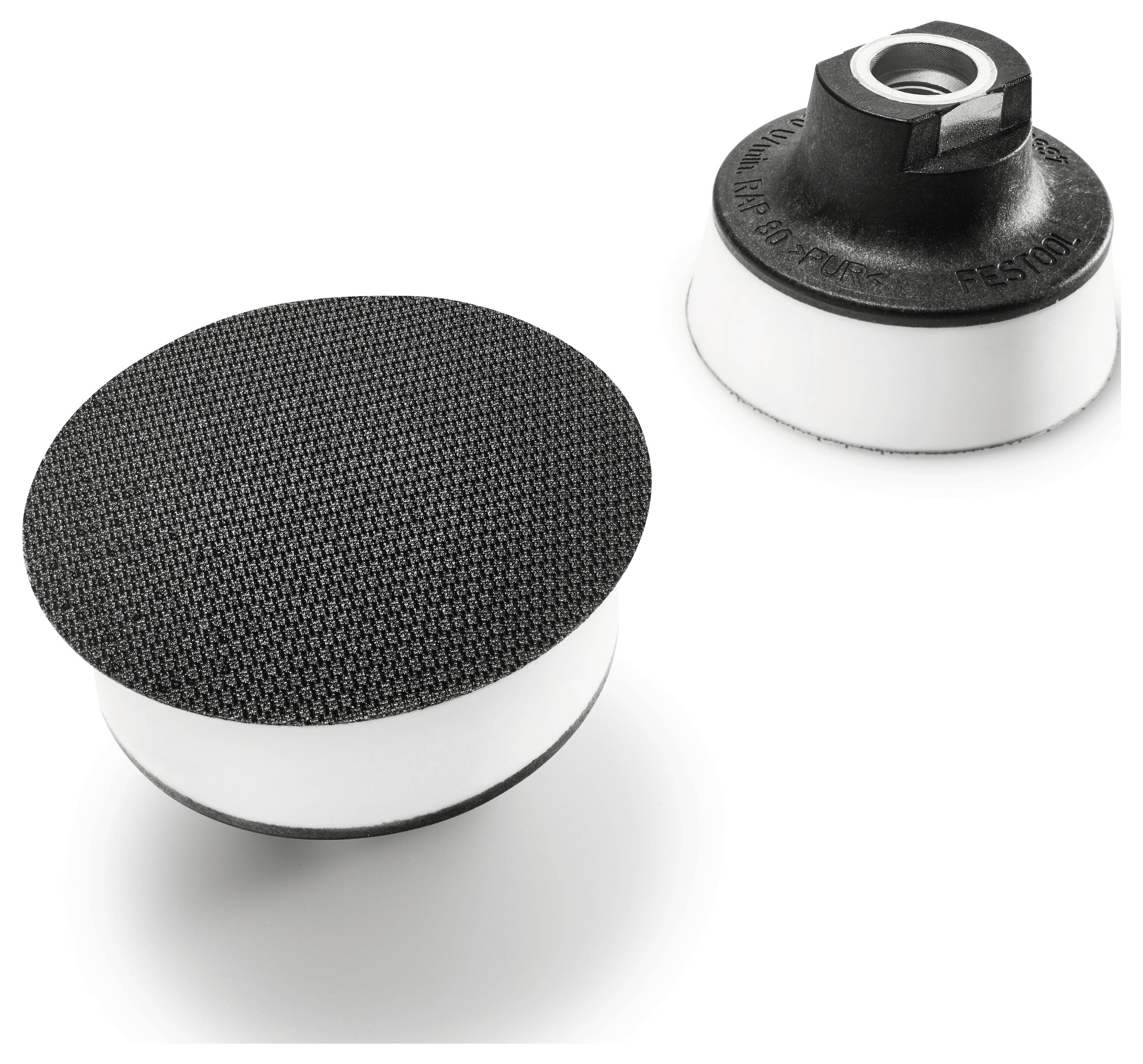 Logo FSC con il testo: www.fsc.org, FSC C164884, Il marchio della silvicoltura responsabile.