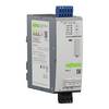 WAGO 2787-2146/000-030 Alimentazione elettrica Contenuto 1 pz.