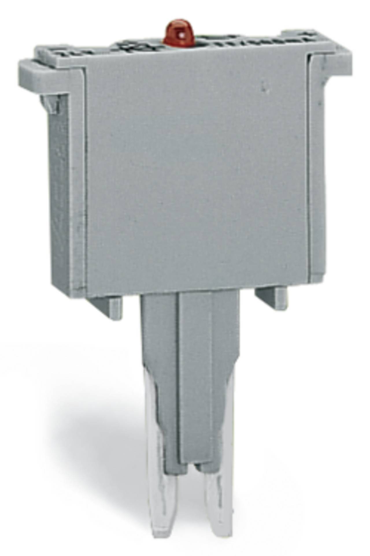 WAGO 280-801/281-420 Modulo componente 100 pz.-0
