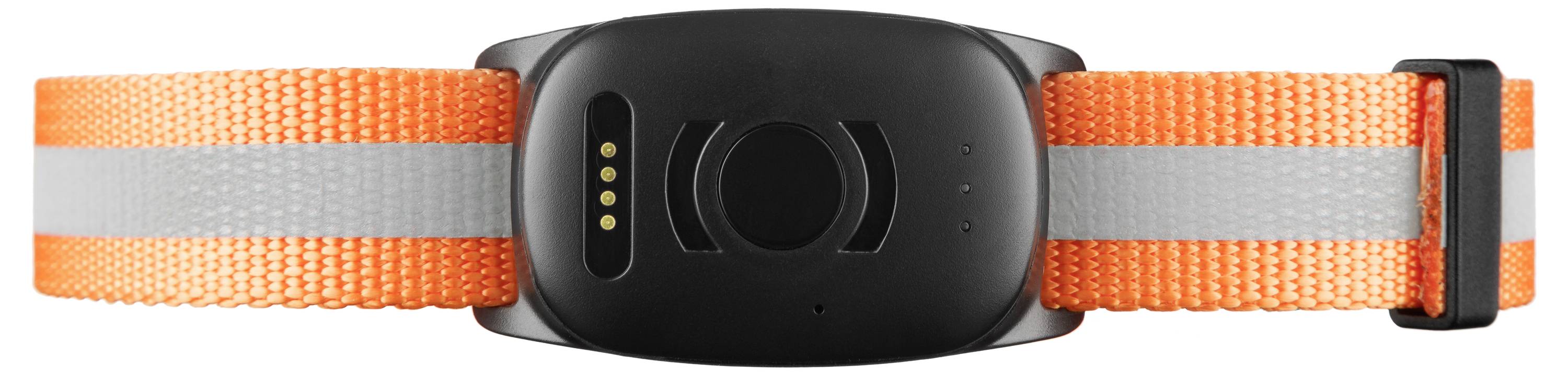 Un collare per animali domestici arancione e grigio con un dispositivo elettronico nero caratterizzato da contatti in metallo dorato, probabilmente destinato al tracciamento o all'identificazione.