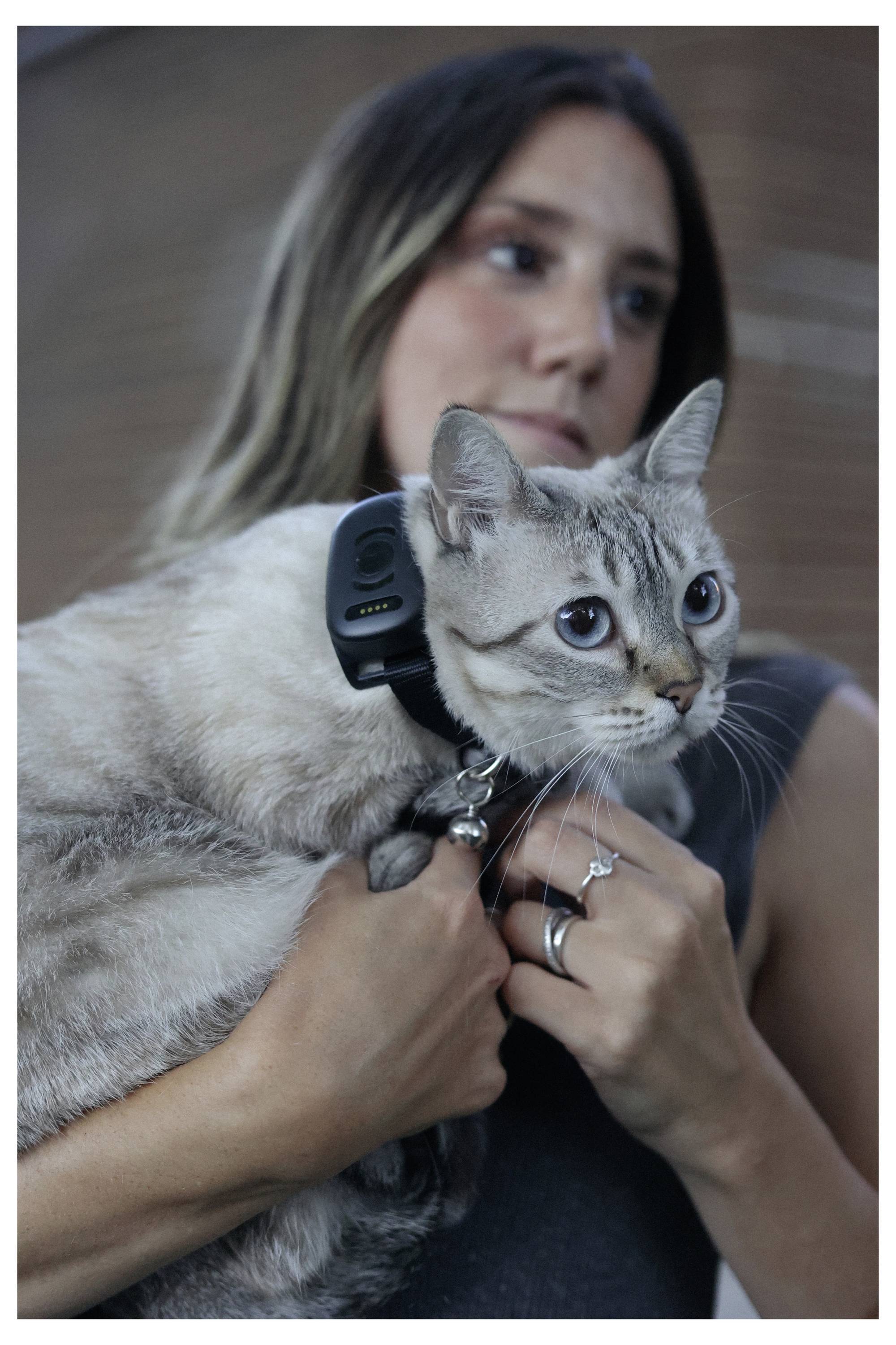 Una persona tiene un gato con gli occhi blu che indossa un collare nero con un piccolo dispositivo attaccato, in piedi in un ambiente esterno sfocato.
