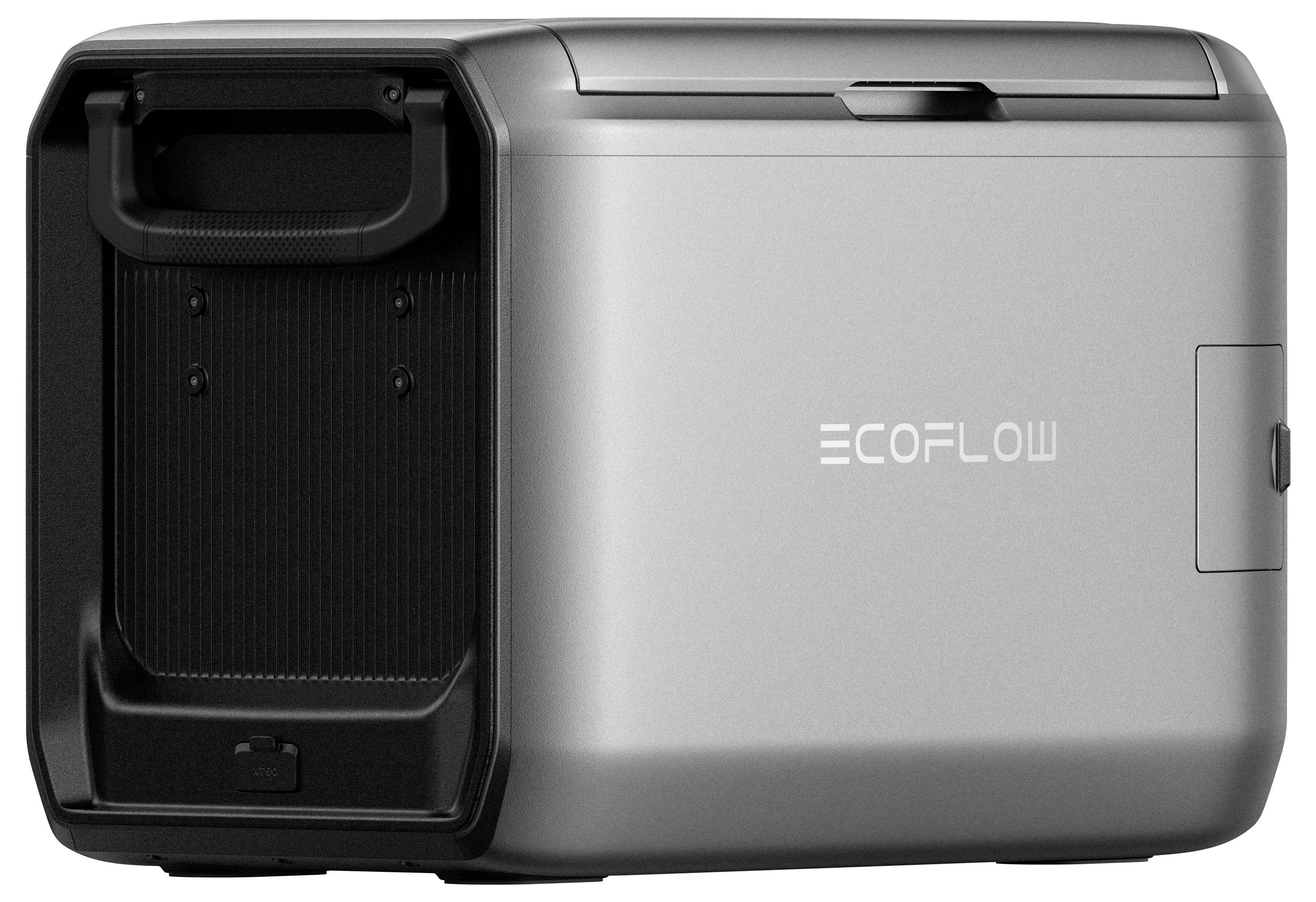 Stazione di alimentazione portatile con finitura argento, etichettata 'EcoFlow', dotata di maniglia e compartimento laterale per l'archiviazione o la connettività.