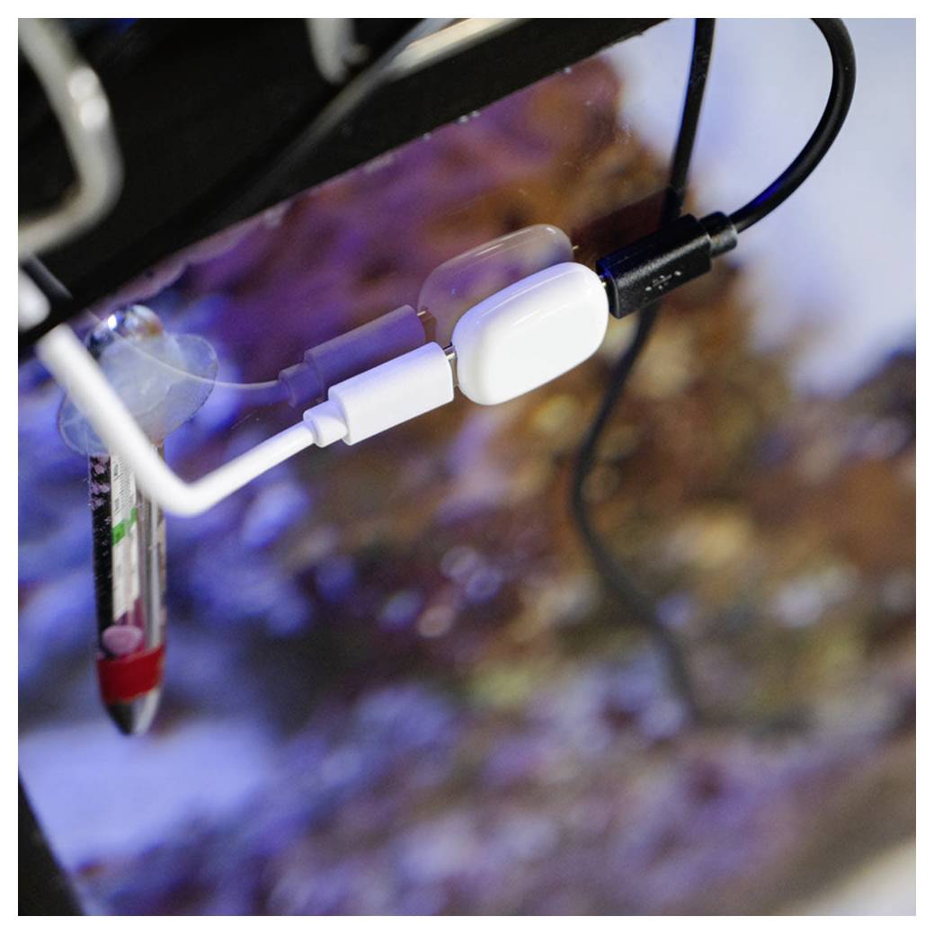 Shelly Shelly The Pill Adattatore-10