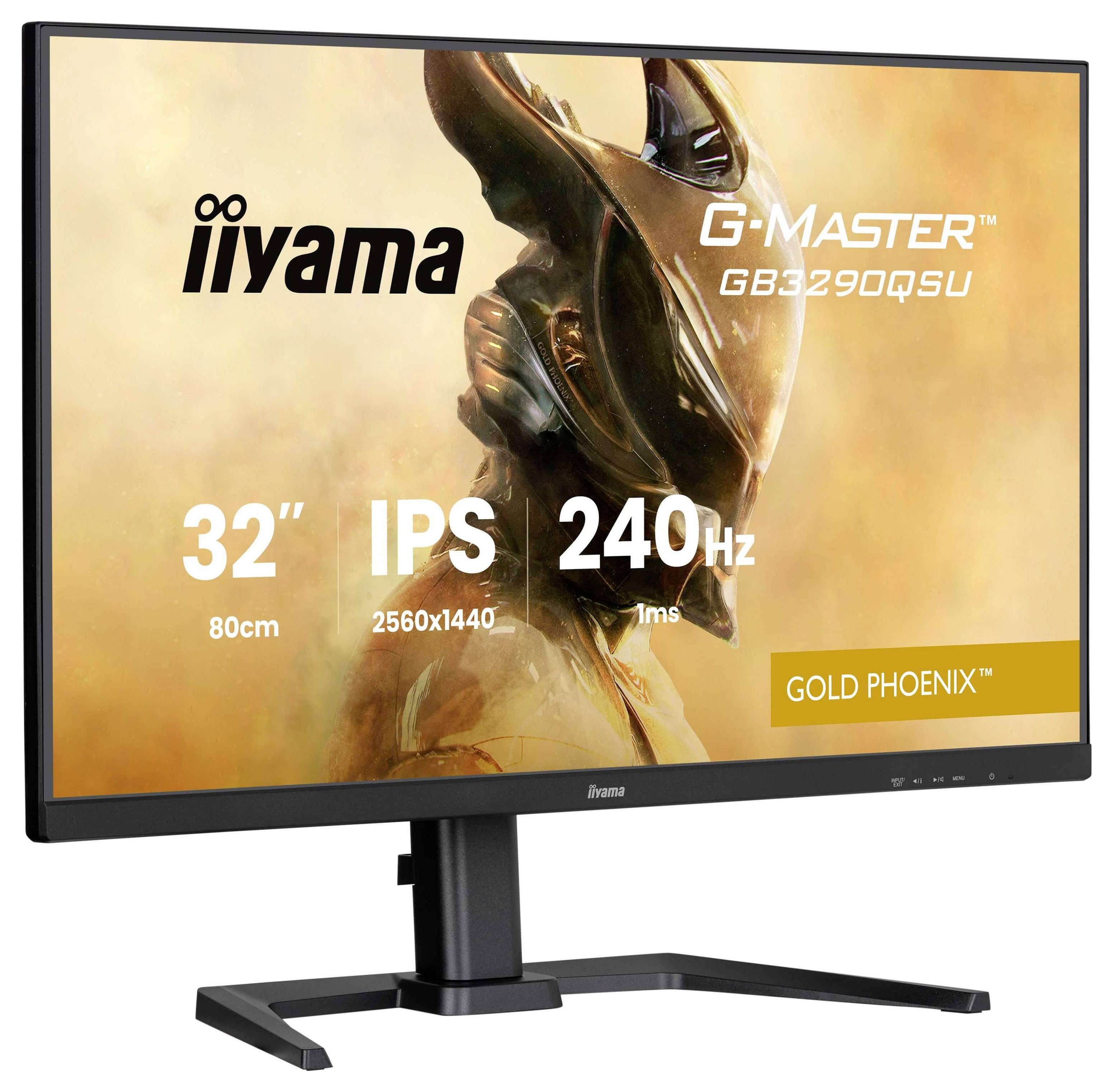 Iiyama G-MASTER Monitor da gioco ERP F (A - G) 80 cm (31.5 pollici) 2560 x 1440 Pixel 16:9 1 ms IPS LED-4
