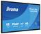 Display touchscreen iiyama ProLite T6529AS da 65 pollici con PCAP, DeepContrast, funzionamento 24/7, Android e rivestimento AG.