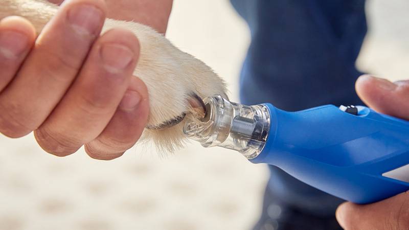 Dremel 26150416DM 26150416DM Lame da sega multiuso Lame da sega multiuso 1 pz.-1