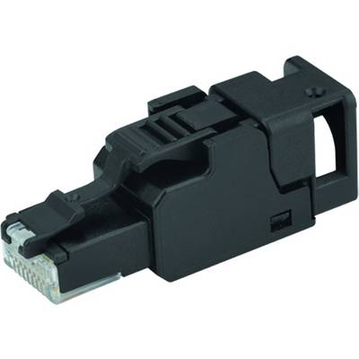 Connettore plug per cavo Ethernet nero, mostrato in primo piano su sfondo bianco.