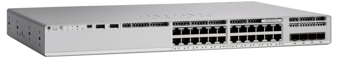 Un switch di rete in argento con molteplici porte Ethernet e alcune porte USB, progettato per la gestione dei dati e la connettività nelle reti IT.