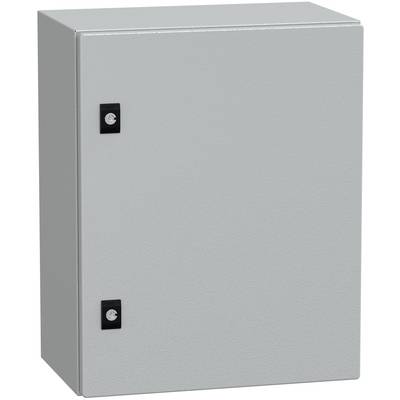 Schneider Electric NSYCRN54250 Porta 1 pz.-0