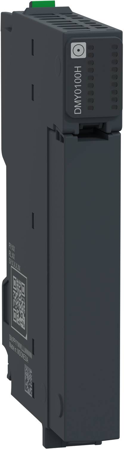 Schneider Electric NTSDMY0100H Modulo di espansione