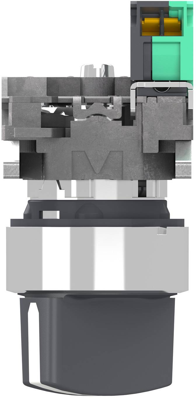 Schneider Electric XB4BD415 XB4BD415 Selettore IP66 1 pz.-2