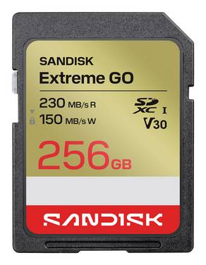 SanDisk Extreme GO Scheda microSDXC  256 GB UHS-I U3 Resistente alle alte temperature